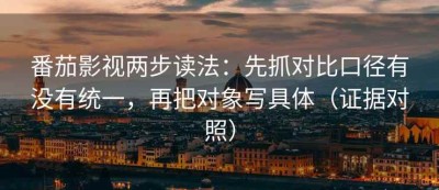 番茄影视两步读法：先抓对比口径有没有统一，再把对象写具体（证据对照）
