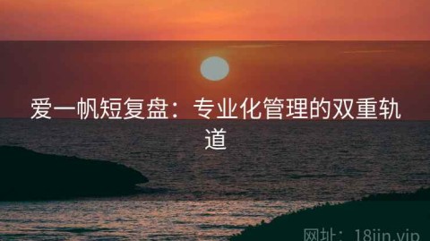 爱一帆短复盘：专业化管理的双重轨道
