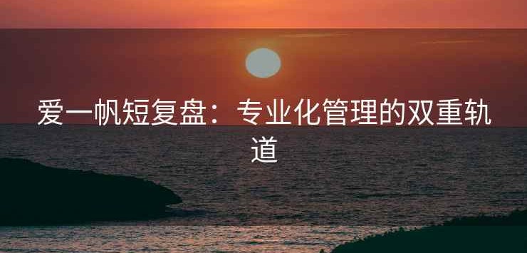爱一帆短复盘：专业化管理的双重轨道